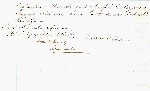 Hine_Estate_p54_resize.JPG